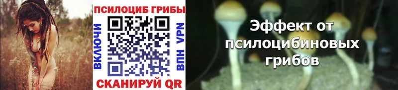 Галлюциногенные грибы Psilocybine cubensis даркнет сайт Томмот